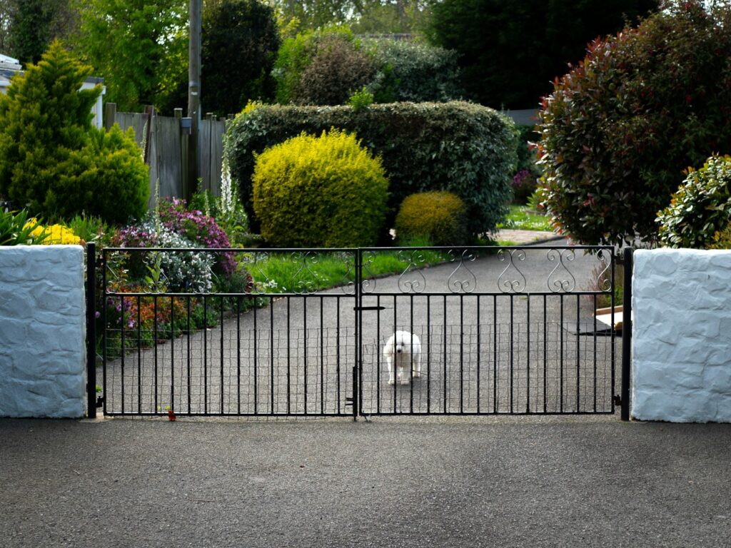 White dog standing behind a gate at home